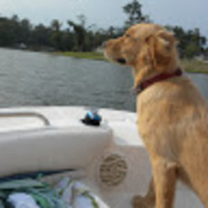 Meet your Posher, Cindy